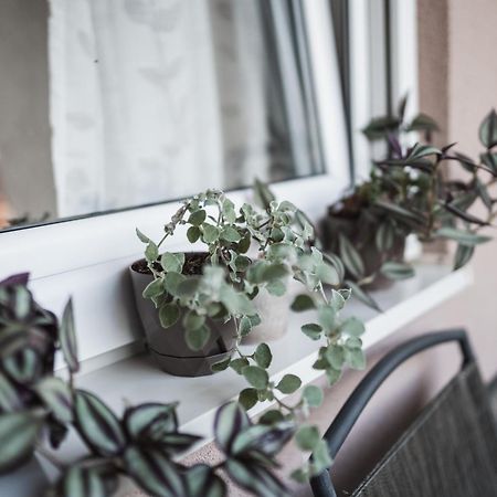 Apartman Centar 多博伊 外观 照片