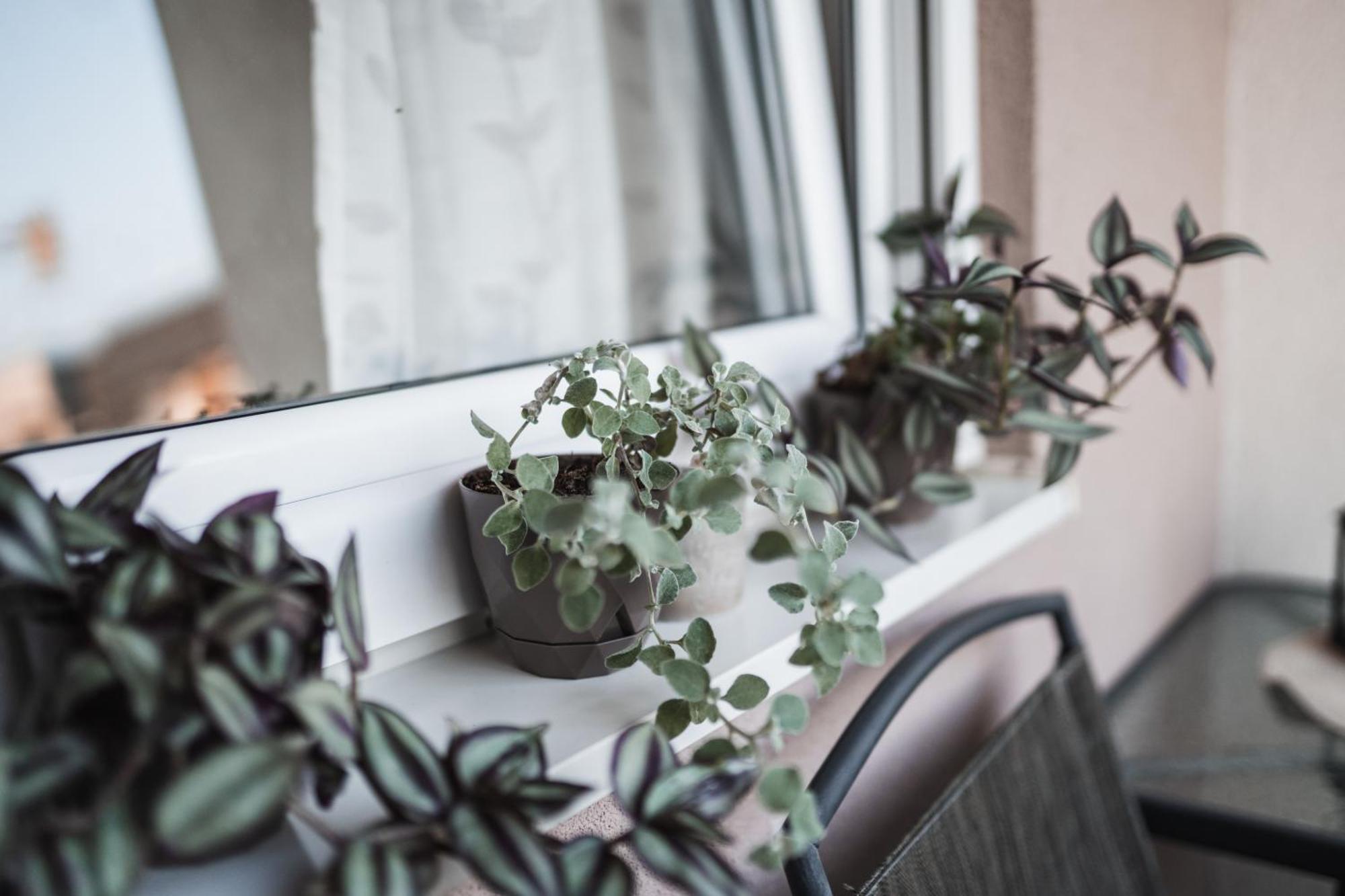 Apartman Centar 多博伊 外观 照片